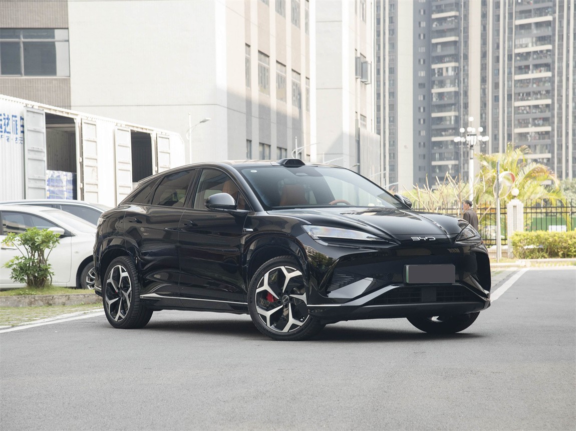 比亚迪 海狮07 EV 2025款 550四驱智驾版 3