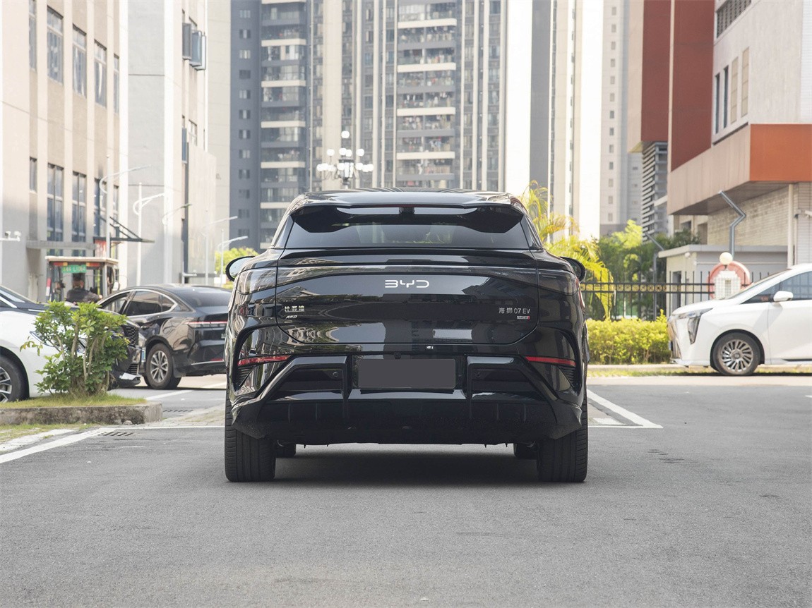 比亚迪 海狮07 EV 2025款 550四驱智驾版 19