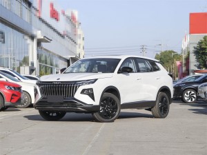 东风风神 皓极 2025款 马赫动力 1.5T 豪华型 25