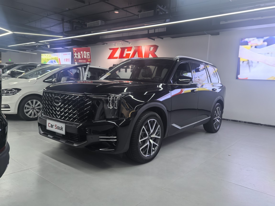广汽传祺 传祺GS8 2025款 领航系列 2.0TGDI 两驱豪华版 5座