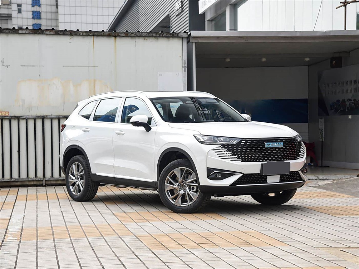 哈弗H6新能源 2023款 DHT-PHEV 110KM 悦行版 3
