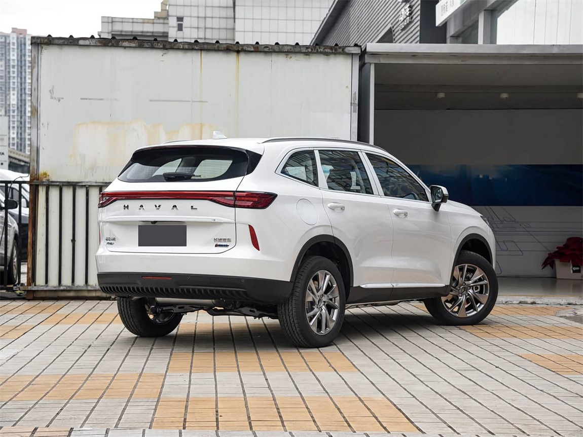 哈弗H6新能源 2023款 DHT-PHEV 110KM 悦行版 17