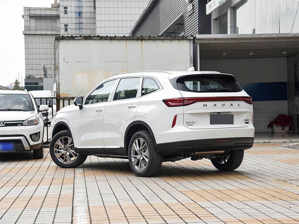 哈弗H6新能源 2023款 DHT-PHEV 110KM 悦行版 19