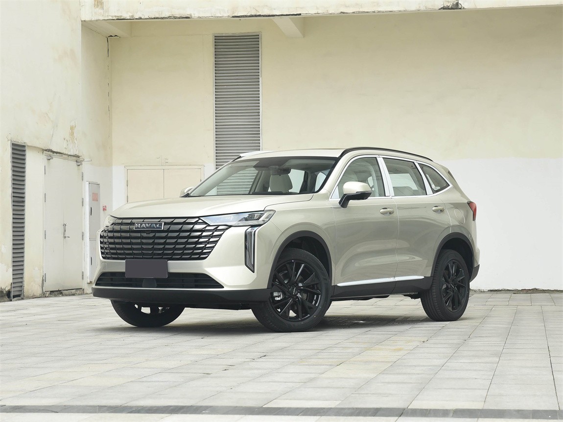 哈弗H6 2024款 1.5T 两驱Pro