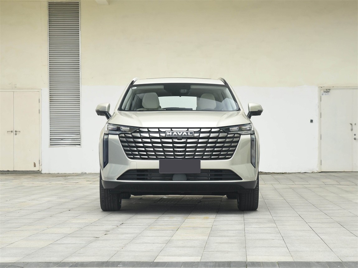 哈弗H6 2024款 1.5T 两驱Pro 2