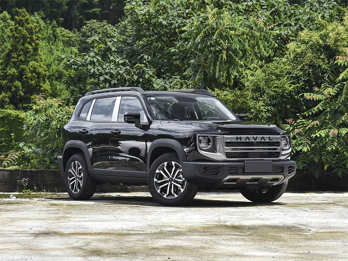 哈弗大狗 2024款 1.5T DCT拉布拉多版 3