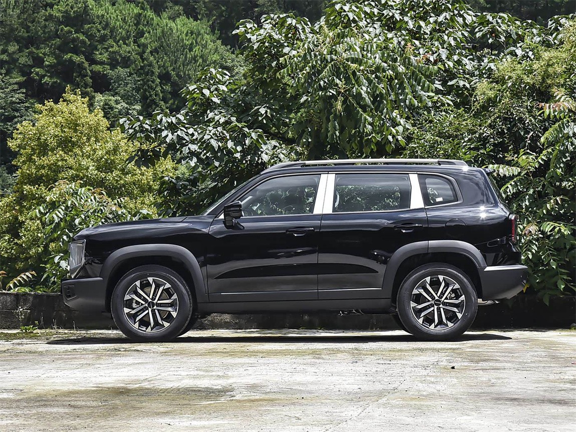 哈弗大狗 2024款 1.5T DCT拉布拉多版 16