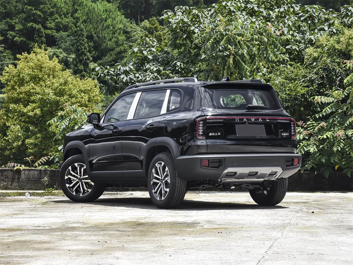 哈弗大狗 2024款 1.5T DCT拉布拉多版 19