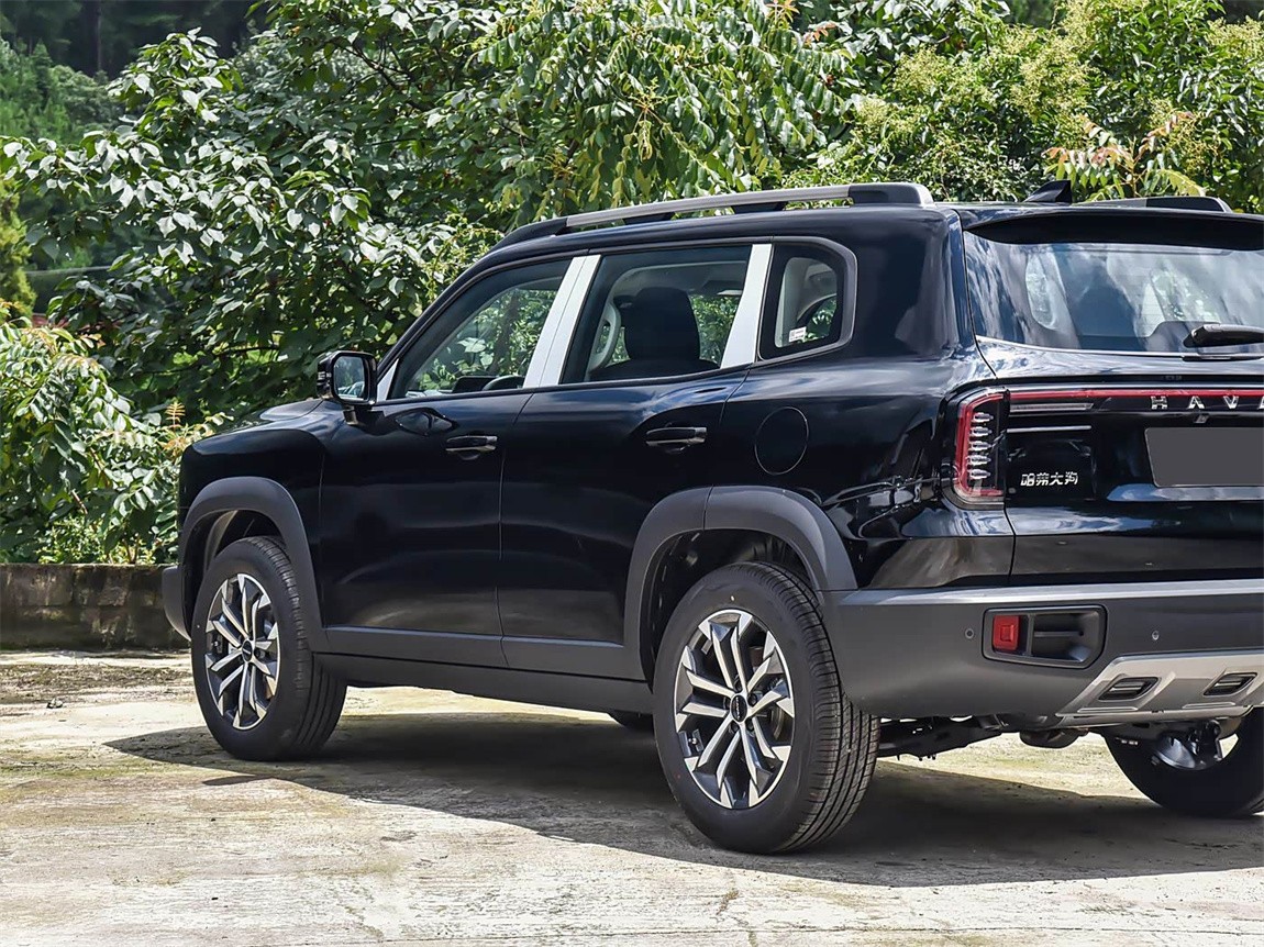 哈弗大狗 2024款 1.5T DCT拉布拉多版 20