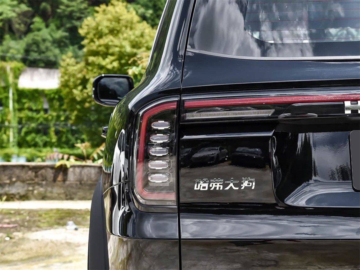 哈弗大狗 2024款 1.5T DCT拉布拉多版 21