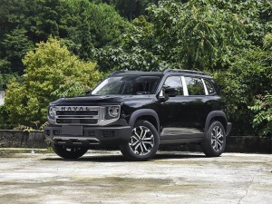 哈弗大狗 2024款 1.5T DCT拉布拉多版 24