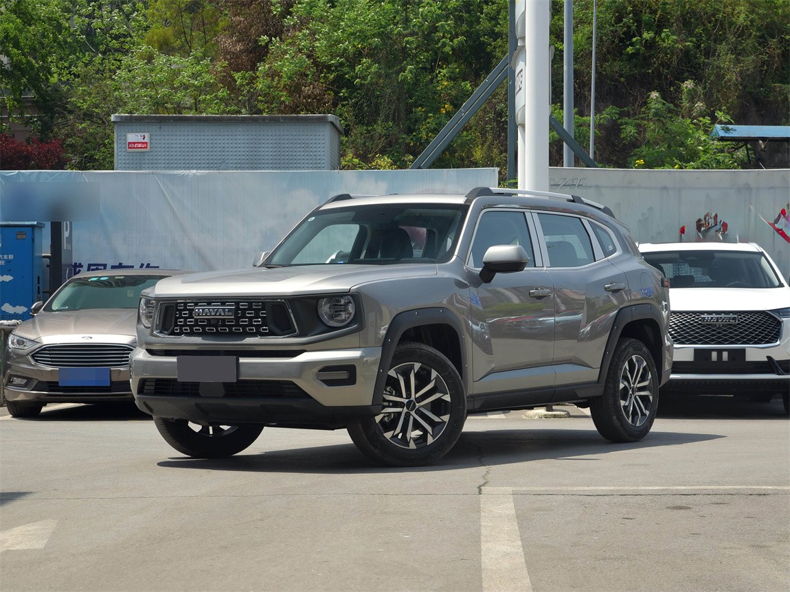 哈弗大狗 PLUS 2023款 2.0T 两驱潮野版