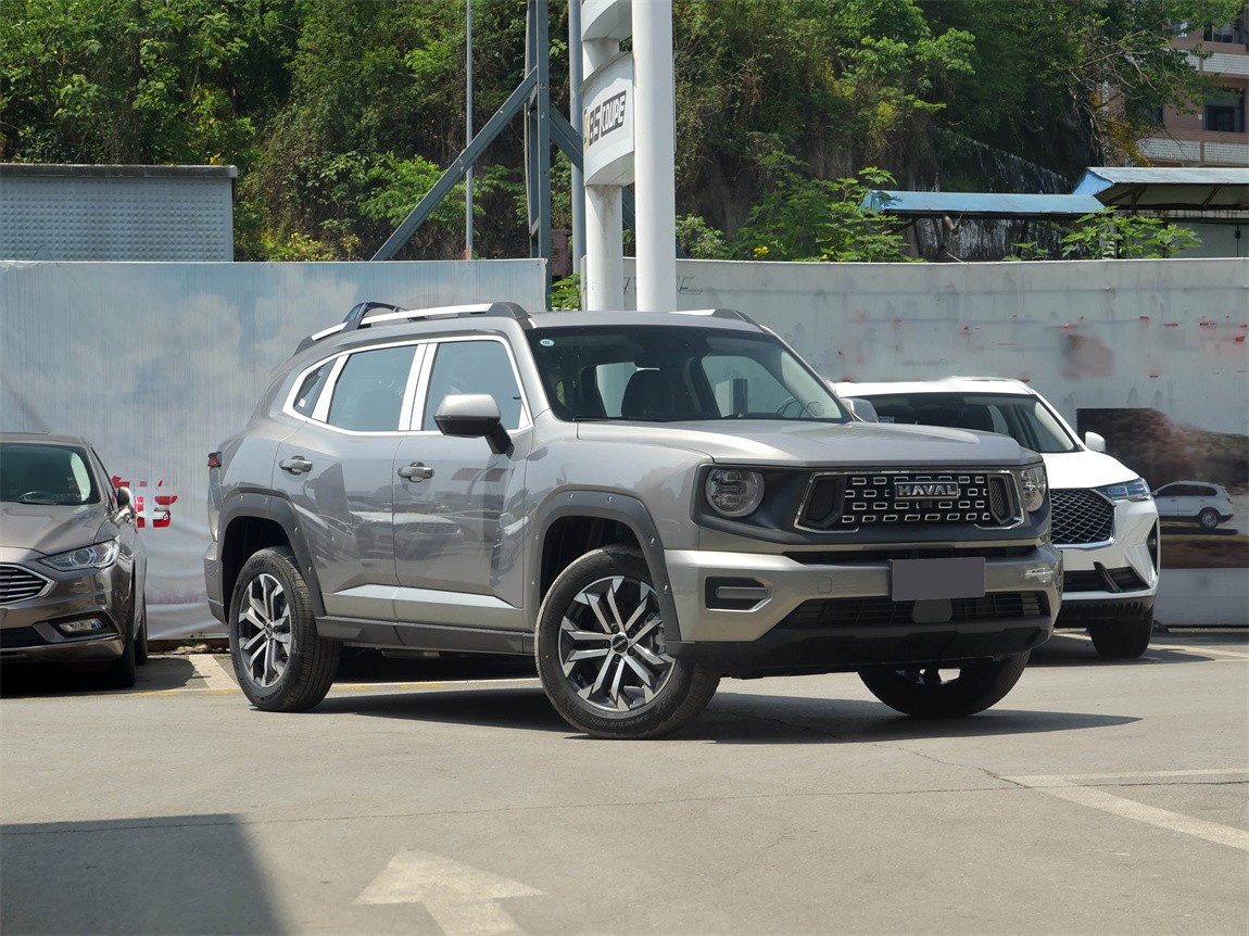 哈弗大狗 PLUS 2023款 2.0T 两驱潮野版 3
