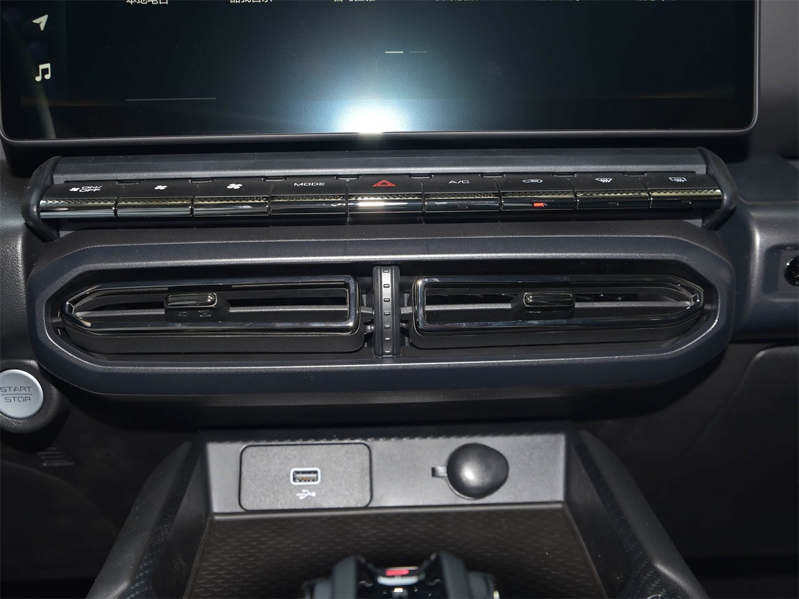 哈弗大狗 PLUS 2023款 2.0T 两驱潮野版 9