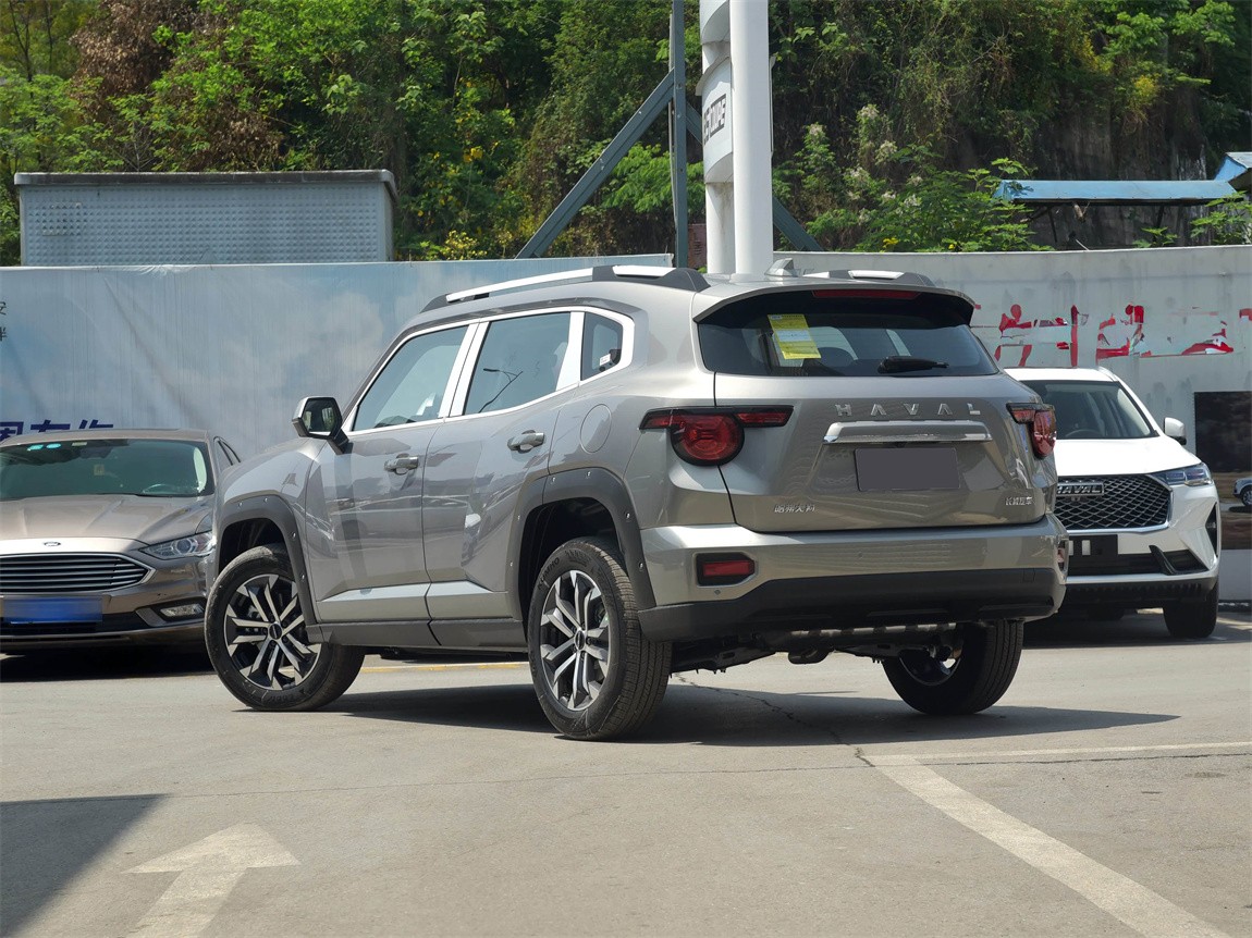 哈弗大狗 PLUS 2023款 2.0T 两驱潮野版 19