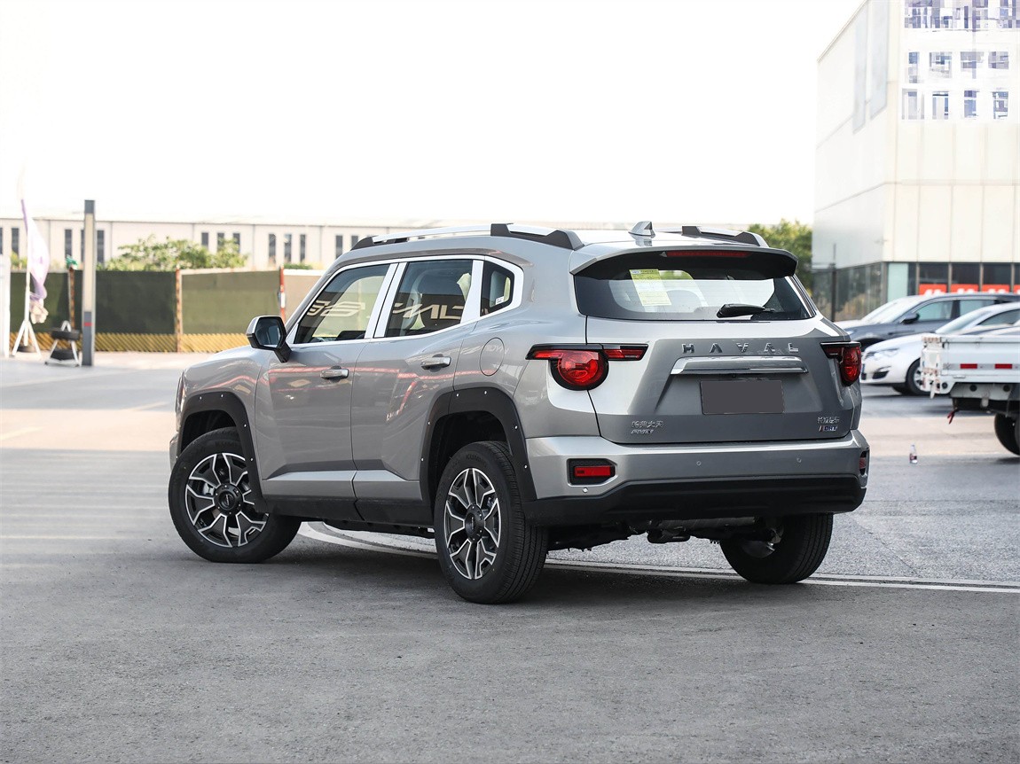 哈弗大狗 PLUS 新能源 2023款 DHT-PHEV 50km 潮电版 19
