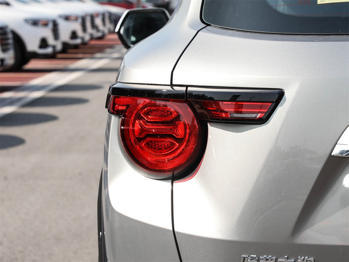 哈弗大狗 PLUS 新能源 2023款 DHT-PHEV 50km 潮电版 21