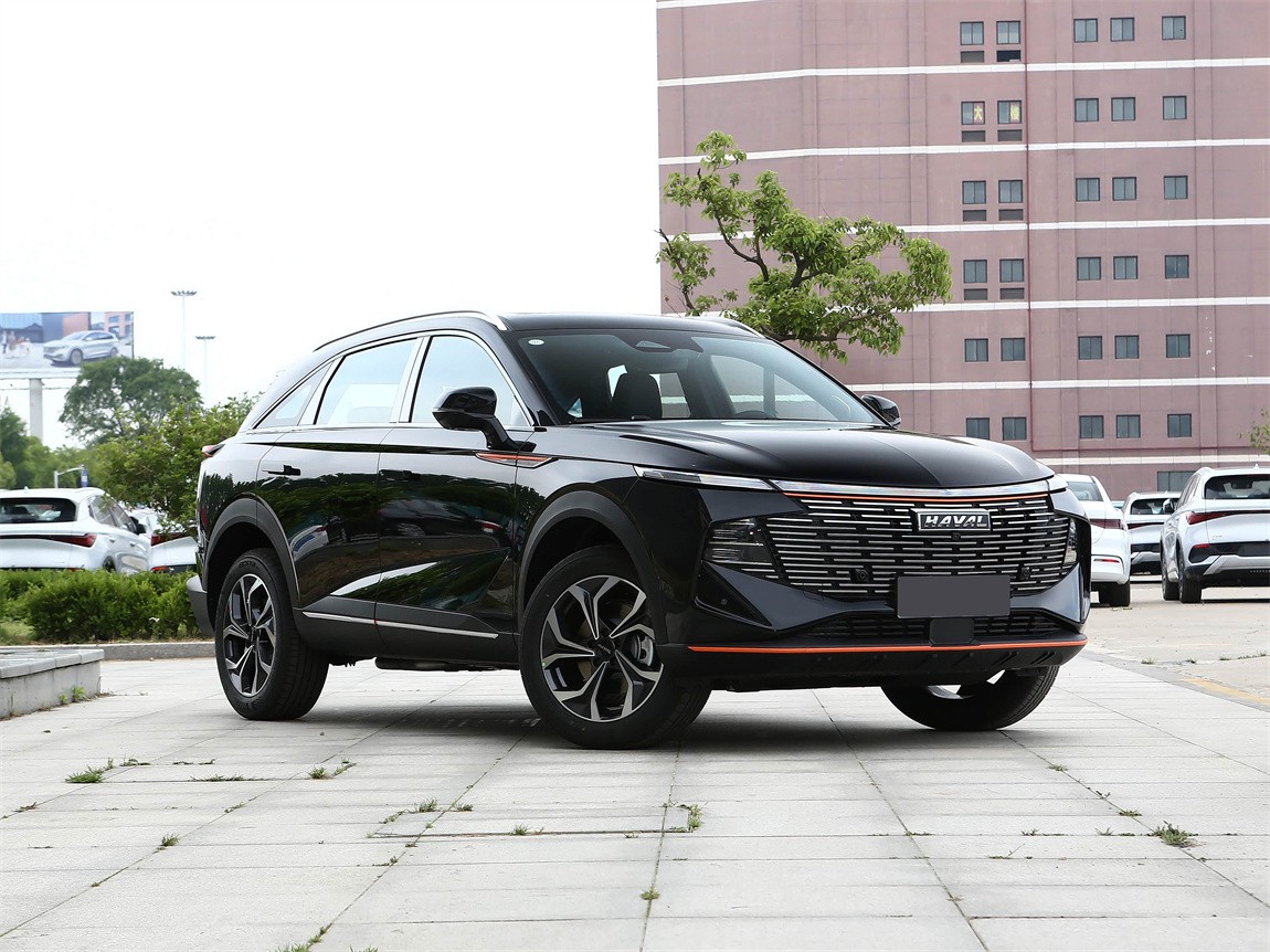 哈弗神兽 2023款 2.0T 智尊版 3