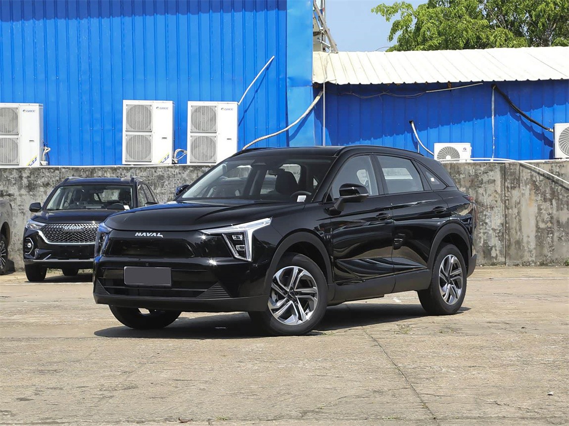 哈弗枭龙 2023款 1.5L 110KM领动版