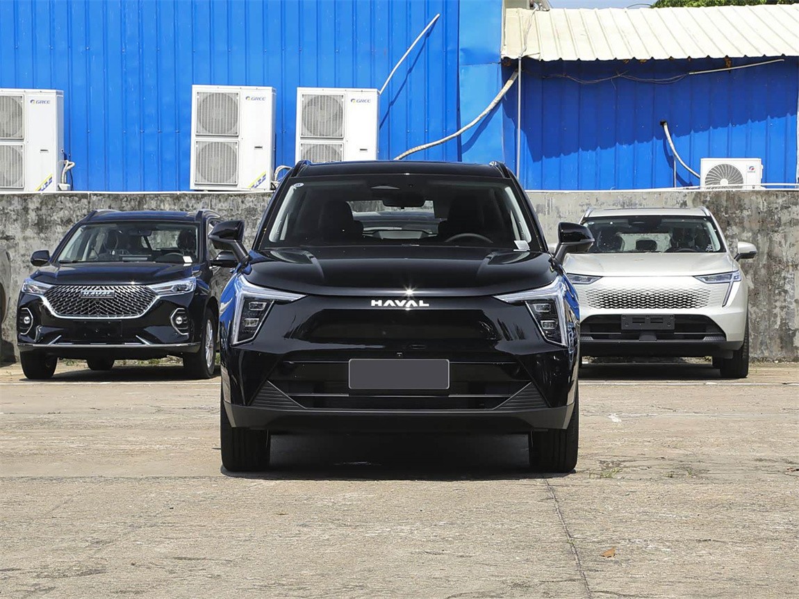 哈弗枭龙 2023款 1.5L 110KM领动版 2