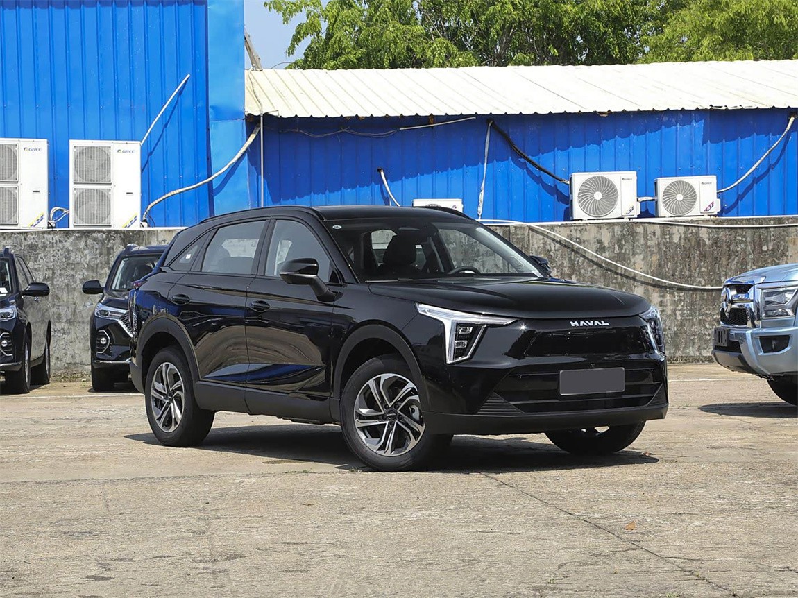 哈弗枭龙 2023款 1.5L 110KM领动版 3