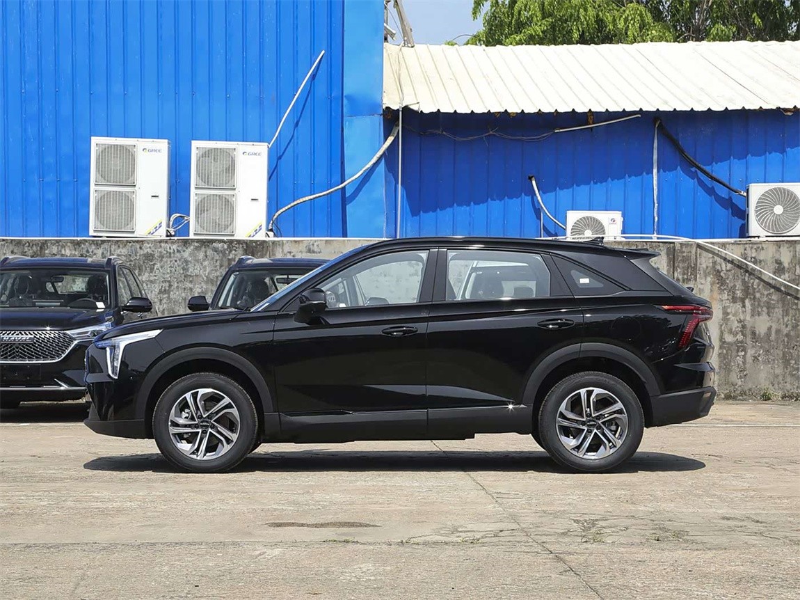 哈弗枭龙 2023款 1.5L 110KM领动版 12