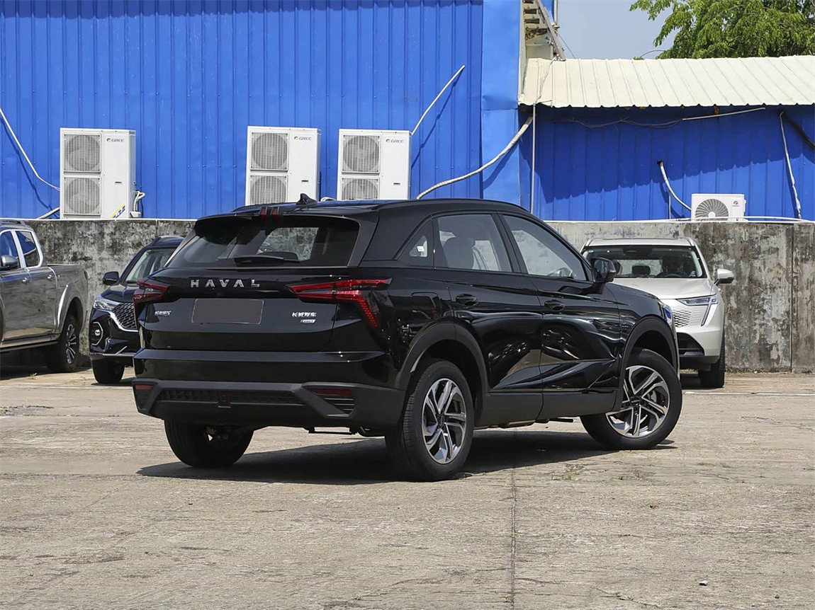 哈弗枭龙 2023款 1.5L 110KM领动版 13