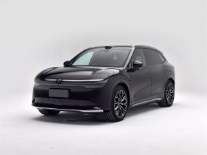 极氪7X 2025款 100kWh 长续航后驱智驾版 24