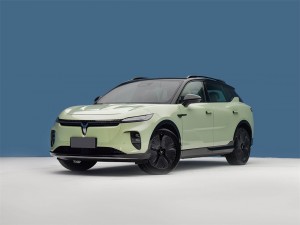 岚图知音 2024款 长续航超充版 24