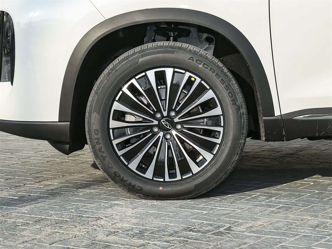 奇瑞 瑞虎8 PLUS C-DM 2025款 1.5T 116km 豪华型 5座 15