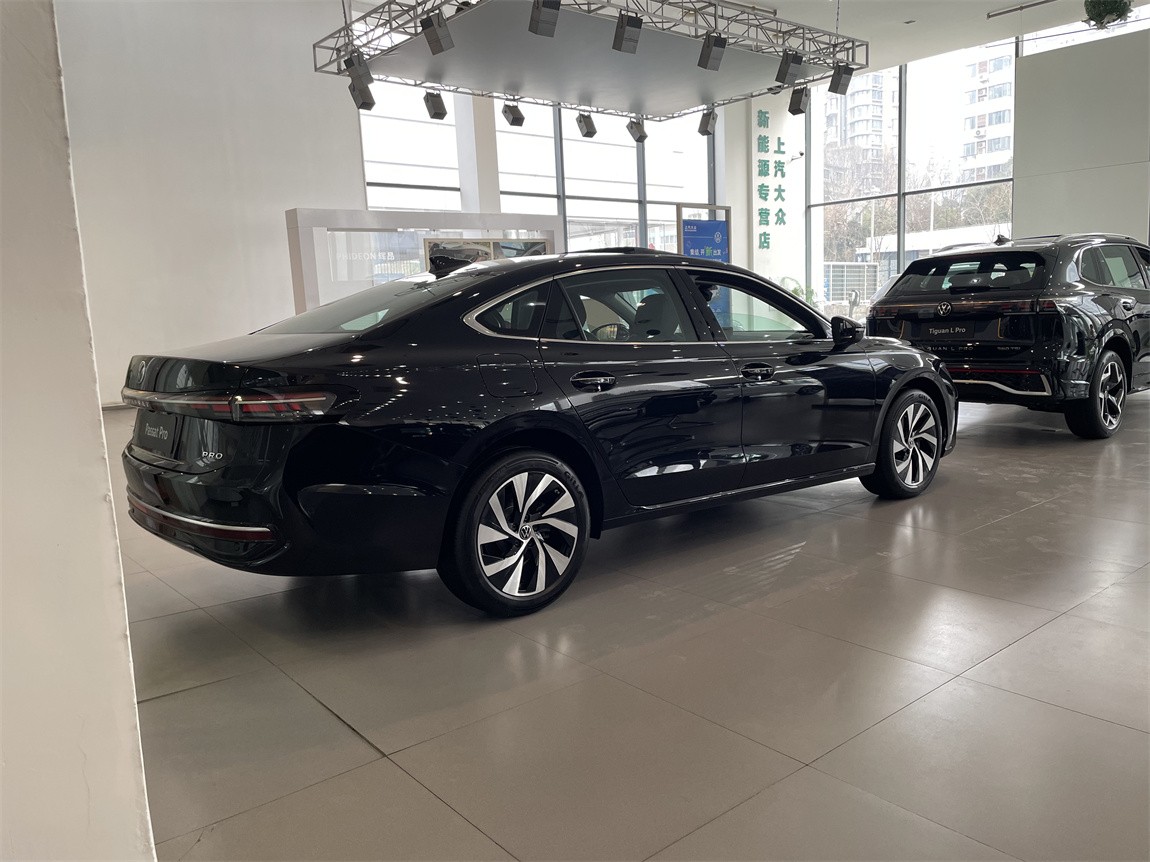大众 帕萨特 2026款 Pro 380TSI 龙运版 10