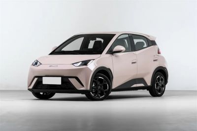 比亚迪 海鸥 2025款 405km 飞翔版 12