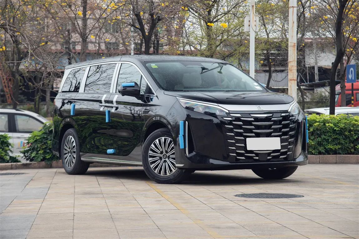 比亚迪 夏 2025款 DM-i 1.5T 100km 超越型 3