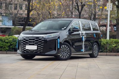 比亚迪 夏 2025款 DM-i 1.5T 100km 超越型 12
