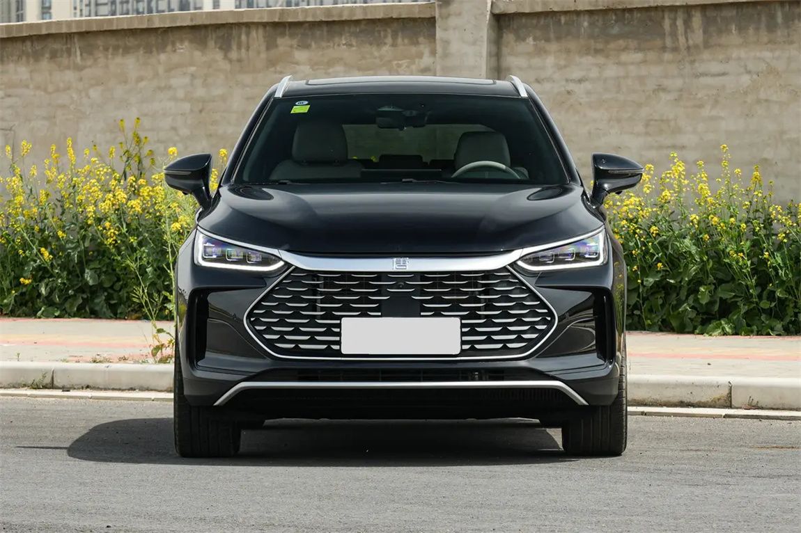 比亚迪 唐新能源 2025款 智驾版 DM-i 115KM 尊贵型 2