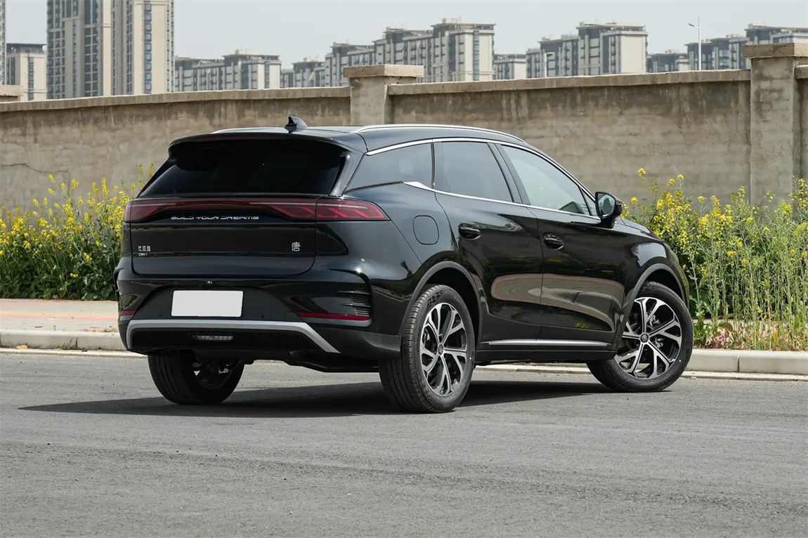 比亚迪 唐新能源 2025款 智驾版 DM-i 115KM 尊贵型 8