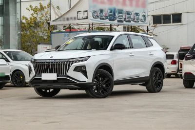东风风神 皓极 2025款 马赫动力 1.5T 尊贵型 12