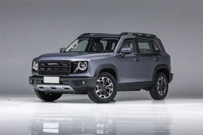 哈弗大狗 2026款 2.0T DCT中华田园犬版 11