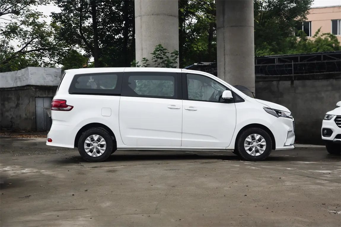 大通G10 2025款 2.0L 手动多功能版 汽油 7座 8