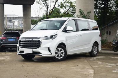 大通G10 2025款 2.0L 手动多功能版 汽油 7座 13